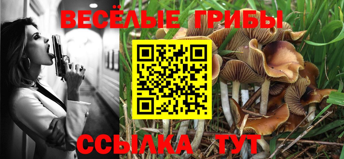 Псилоцибиновые грибы MAGIC MUSHROOMS  где купить наркоту  Северск  Вход с VPN 