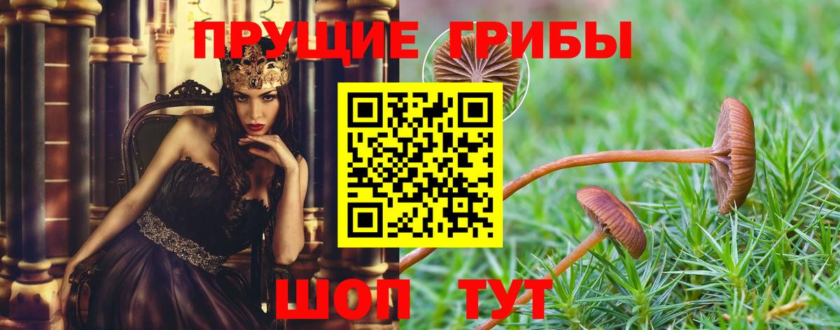 Галлюциногенные грибы мицелий Северск